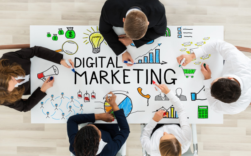 Digital Marketing & SEO Services
